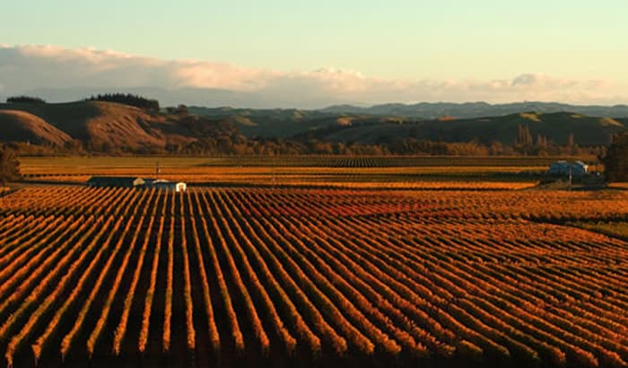 Hawkes Bay Region Guide